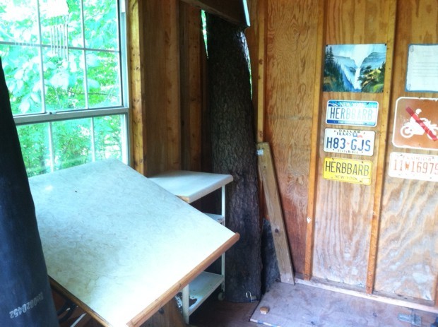 inside treehouse