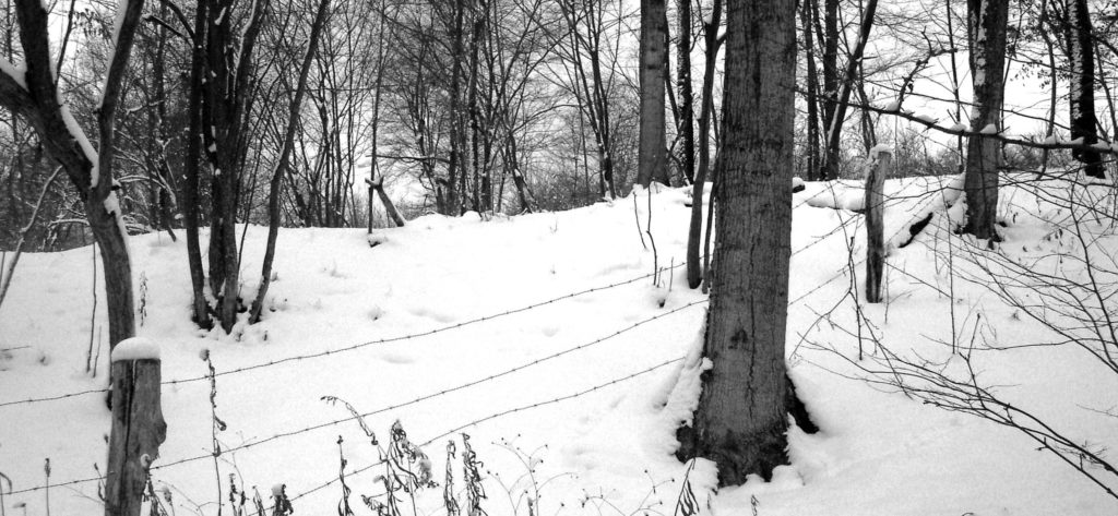 snow fence 