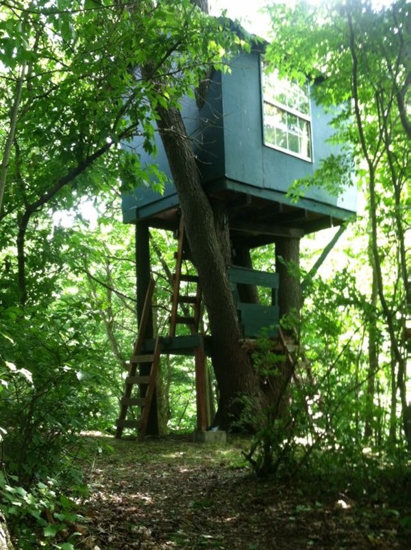 tree house